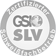 GSI SLV